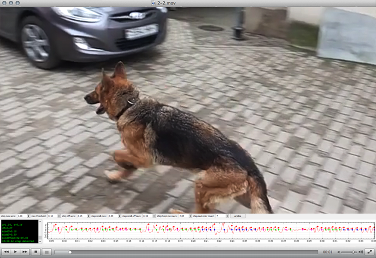 Видео с наложением графика движения собаки
