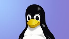 Год Linux: в 2022-м она резко стала популярнее macOS у разработчиков