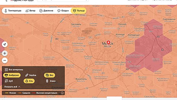 Интерактивная карта пыльцы от «Яндекс» поможет белорусским аллергикам 