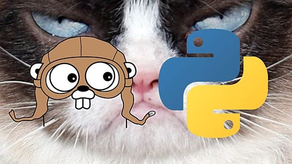 Google создала Grumpy — транскомпилятор Python в Go 