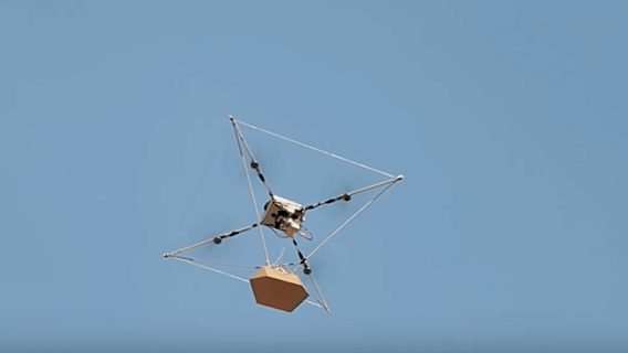 Сколько дронов, где летают, вес заказа. Подробности доставки еды от Dronex + Menu.by 