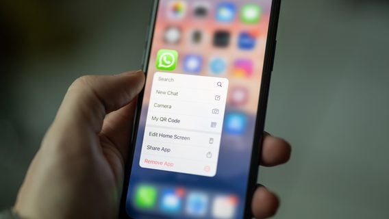 WhatsApp осенью перестанет работать на старых iPhone
