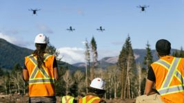 Канадский стартап посадит 1 млрд деревьев за 8 лет с помощью дронов