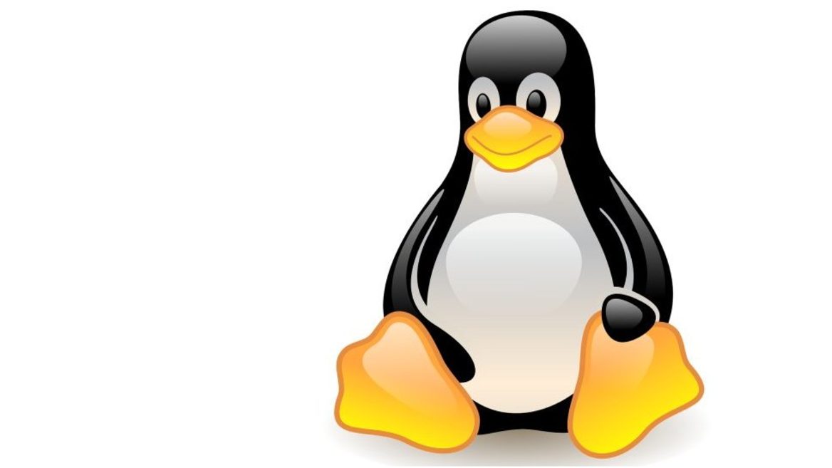 Миннесотскому университету запретили делать вклад в ядро Linux после шутки студентов