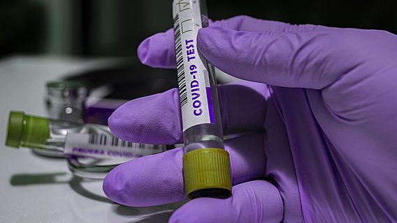 Число выявленных случаев коронавируса в Беларуси выросло до 29,7 тысячи