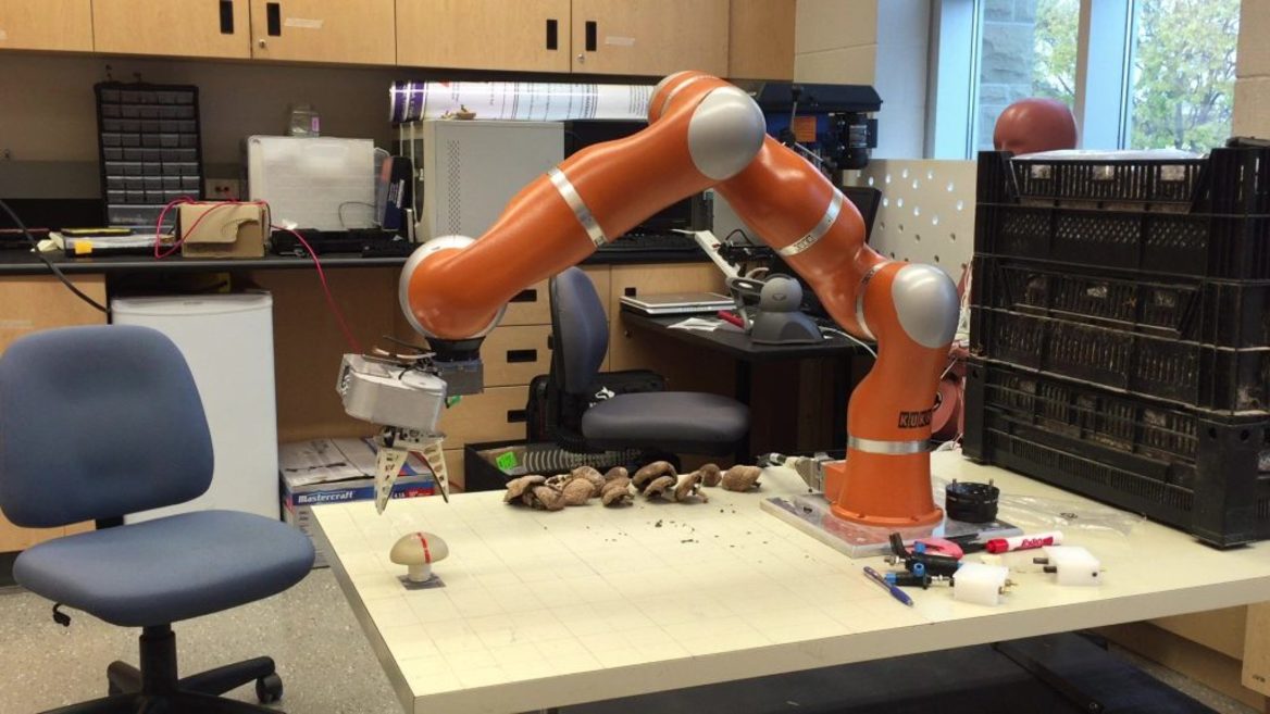 Инженер создал робота который собирает грибы лучше человека