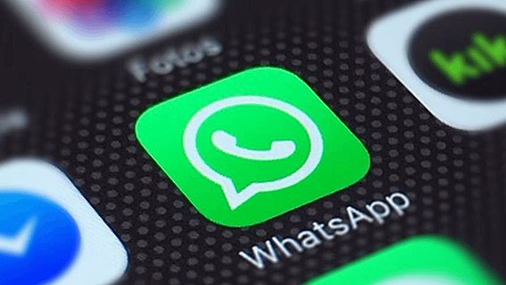 В десктоп-версию WhatsApp добавили запрет на массовую пересылку сообщений 
