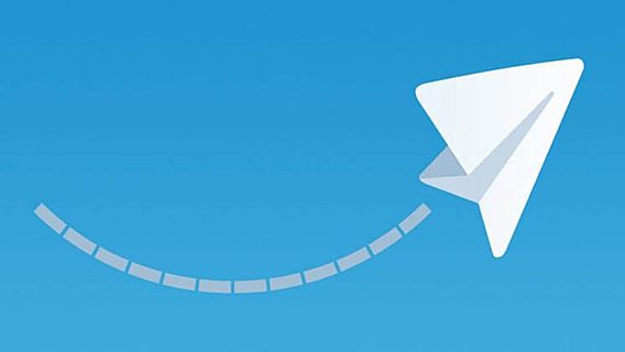 Роскомнадзор обещает блокировать VPN-сервисы для обхода запрета на Telegram 