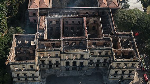 Wikipedia собирает фотографии, чтобы «восстановить» утерянную в пожаре экспозицию Национального музея Бразилии 