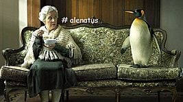 Что такое #аленатус? 
