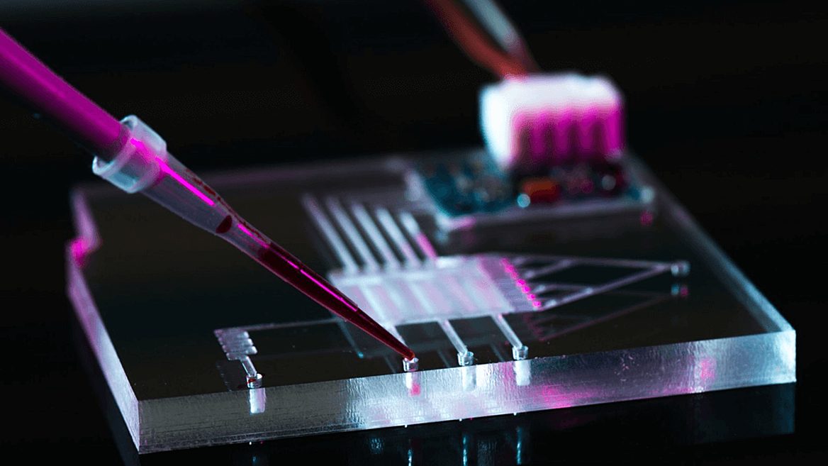 Учёные изобрели 3D-печатный гель для робототехники и медицины 